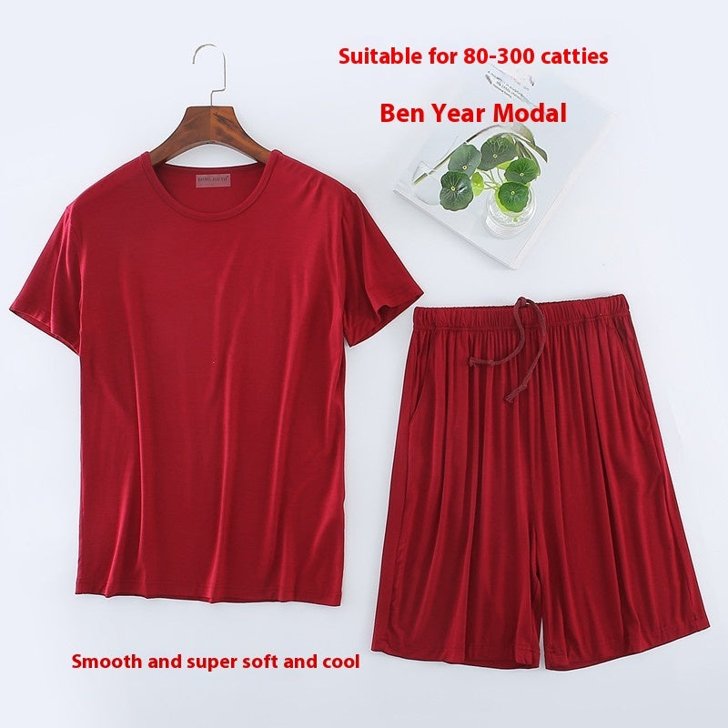 Men's shorts and t-shirt set