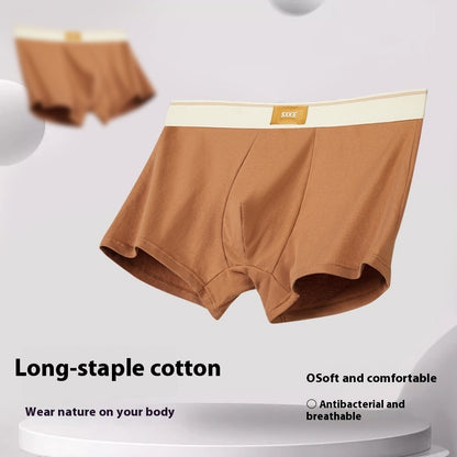 Men's Cotton Boxer